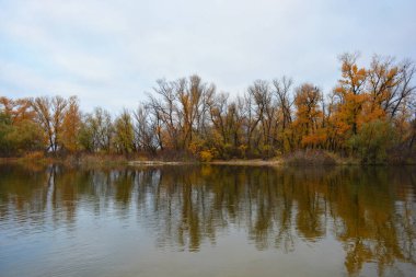 Sonbahar doğası, ağaçlarla güzel doğa, Dnipro nehrinin kıyısı. Güzel nehir kıyısı, yaprak döken yeşil, sarı, turuncu, kırmızı ağaçlar Kamianske şehrinde, Dniprodzerzhyns 'k Ukrayna.