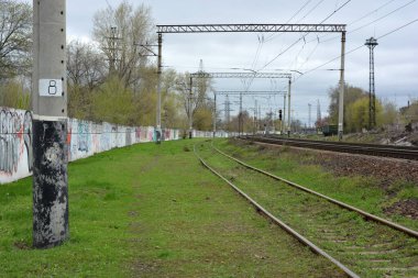 Demiryolu rayları, demiryolunun metal hatları gri dişliler, yeşil çimenler, mavi gökyüzüne karşı büyük ağaçlar..