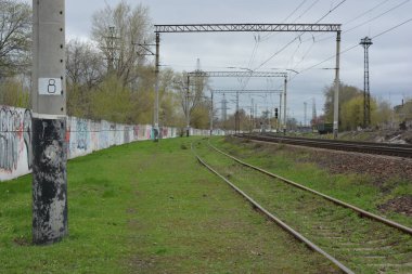Demiryolu rayları, demiryolunun metal hatları gri dişliler, yeşil çimenler, mavi gökyüzüne karşı büyük ağaçlar..