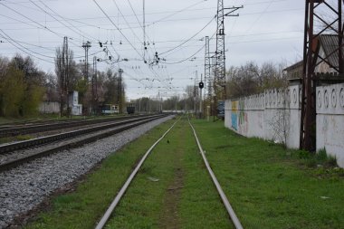 Demiryolu rayları, demiryolunun metal hatları gri dişliler, yeşil çimenler, mavi gökyüzüne karşı büyük ağaçlar..
