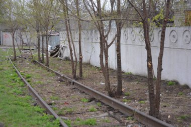 Demiryolu rayları, demiryolunun metal hatları gri dişliler, yeşil çimenler, mavi gökyüzüne karşı büyük ağaçlar..