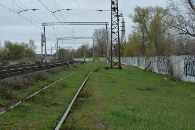 Demiryolu rayları, demiryolunun metal hatları gri dişliler, yeşil çimenler, mavi gökyüzüne karşı büyük ağaçlar..