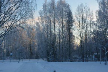 Gayrimenkul, evler, binalar, yapılar, altyapı, Varkaus, Finlandiya. Güzel kış sokakları, yollu sokaklar, arabalar, bisikletçiler, kaldırımlar, yeşil köknar ağaçları, huş ağaçları, ağaçlar, beyaz, tüylü karlarla kaplı.