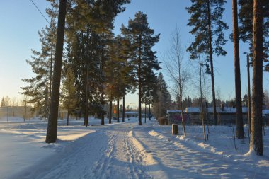 Gayrimenkul, evler, binalar, yapılar, altyapı, Varkaus, Finlandiya. Güzel kış sokakları, yollu sokaklar, arabalar, bisikletçiler, kaldırımlar, yeşil köknar ağaçları, huş ağaçları, ağaçlar, beyaz, tüylü karlarla kaplı.