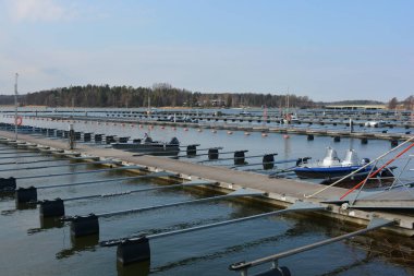 Bahar havası, büyük körfez, göl, temiz suyla körfez. Şık ahşap iskeleleri ve tekne parkı olan güzel bir sahil doğası. Sürat tekneleri, modern yelkenler ve beyaz yatlar Finlandiya 'nın Espoo limanına demirlemiştir..