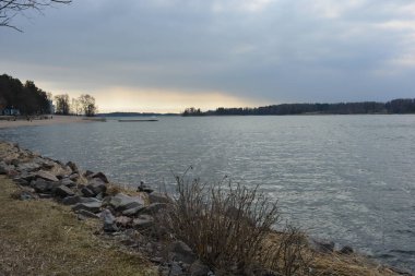 Finlandiya, Espoo 'da körfez ve bahar doğası olan parlak ve renkli manzaralar. Güzel berrak su, sarı kumlu büyük sahil, dalgalar, uzun yeşil çam ağaçları, bahçe ağaçları, büyük taşlar, renkli su deposu, körfez, göl.