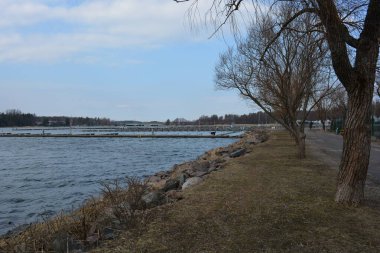 Finlandiya, Espoo 'da körfez ve bahar doğası olan parlak ve renkli manzaralar. Güzel berrak su, sarı kumlu büyük sahil, dalgalar, uzun yeşil çam ağaçları, bahçe ağaçları, büyük taşlar, renkli su deposu, körfez, göl.