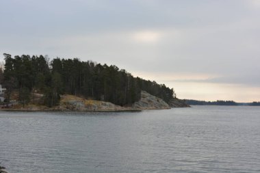 Finlandiya, Espoo 'da körfez ve bahar doğası olan parlak ve renkli manzaralar. Güzel berrak su, sarı kumlu büyük sahil, dalgalar, uzun yeşil çam ağaçları, bahçe ağaçları, büyük taşlar, renkli su deposu, körfez, göl.