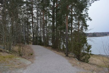 Finlandiya, Espoo 'da koyu ve bahar doğası olan parlak ve renkli manzaralar. Büyük ve geniş bir patika, uzun yeşil çam ağaçları, büyük taşlar, renkli bir su deposu, koy, göl..