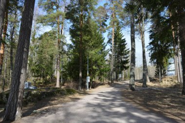 Güzel, alışılmadık doğa, ilkbahar güneşi ışınları. Geniş, çiğnenmiş yollar, yüksek, uzun beyaz huş ağaçları, yeşil çamlar, çalılar boyunca örülmüş yollar. Espoo, Varkaus 'taki ormanlardan birinde daha fazla ağaç yetişiyor..