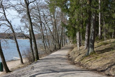 Doğa, cazibe, güzel manzara. Yeşil orman kumlu bir körfezin kıyısında büyür. Güzel, nazik ve sarp kayalardan oluşan kıyıları vardır. Finlandiya, Espoo 'da bir buzulun arka planına karşı yeşil çamlar, beyaz huş ağaçları, kumlu yollar ve yollar.