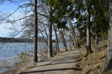 Doğa, cazibe, güzel manzara. Yeşil orman kumlu bir körfezin kıyısında büyür. Güzel, nazik ve sarp kayalardan oluşan kıyıları vardır. Finlandiya, Espoo 'da bir buzulun arka planına karşı yeşil çamlar, beyaz huş ağaçları, kumlu yollar ve yollar.