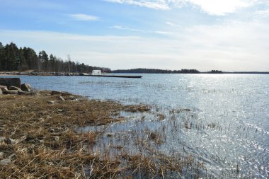 Doğa, cazibe, güzel manzara. Yeşil orman kumlu bir körfezin kıyısında büyür. Güzel, nazik ve sarp kayalardan oluşan kıyıları vardır. Finlandiya, Espoo 'da bir buzulun arka planına karşı yeşil çamlar, beyaz huş ağaçları, kumlu yollar ve yollar.