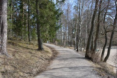 Güzel, alışılmadık doğa, ilkbahar güneşi ışınları. Geniş, çiğnenmiş yollar, yüksek, uzun beyaz huş ağaçları, yeşil çamlar, çalılar boyunca örülmüş yollar. Espoo, Varkaus 'taki ormanlardan birinde daha fazla ağaç yetişiyor..