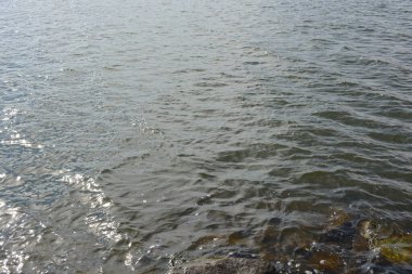 Güzel doğa, su elementi, temiz ve şeffaf su. Büyük taşlar, kahverengi ve gri granitler su deposunun kıyılarında ve dibinde bulunur. Körfez, kıyı, kıyı Finlandiya 'nın Espoo şehrinde yer almaktadır..