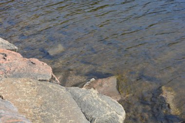 Güzel doğa, su elementi, temiz ve şeffaf su. Büyük taşlar, kahverengi ve gri granitler su deposunun kıyılarında ve dibinde bulunur. Körfez, kıyı, kıyı Finlandiya 'nın Espoo şehrinde yer almaktadır..