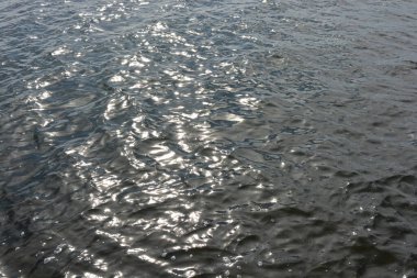 Doğa, cazibe, güzel körfez manzarası, sarı kumlu göl, Espoo, Finlandiya 'da açık deniz ve temiz su..