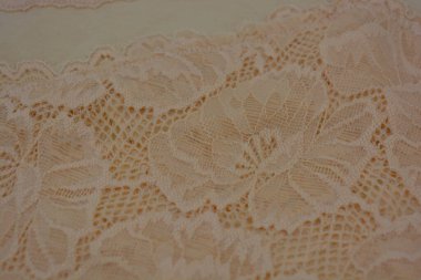 Çiçek tomurcuklarından bej, kumlu, güzel dantel, çiçek açan güller, şakayıklar. Alışılmadık kumaş, doğal pamuktan yapılmış bej kumaşlara parıltılı dantel..