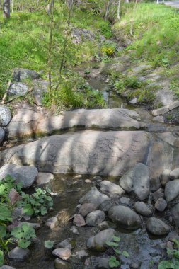 Finlandiya 'nın Espoo şehrinde, kahverengi taşlı derenin yanında güzel orman doğası, yeşil çimenler, çiçekler ve farklı bitkiler yetişir..