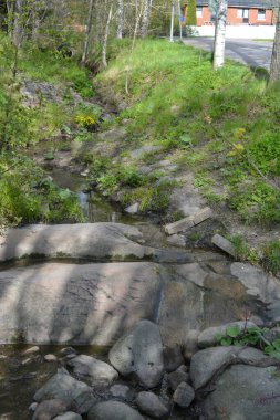 Finlandiya 'nın Espoo şehrinde, kahverengi taşlı derenin yanında güzel orman doğası, yeşil çimenler, çiçekler ve farklı bitkiler yetişir..