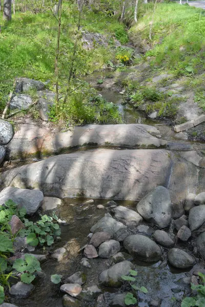 Finlandiya 'nın Espoo şehrinde, kahverengi taşlı derenin yanında güzel orman doğası, yeşil çimenler, çiçekler ve farklı bitkiler yetişir..