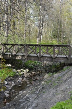 Orman deresinin üzerine inşa edilmiş eski ahşap köprüsü olan güzel orman doğası. Finlandiya 'nın Espoo şehrinde kahverengi taşlı derenin yanında yeşil çimenler, çiçekler ve farklı bitkiler yetişir..