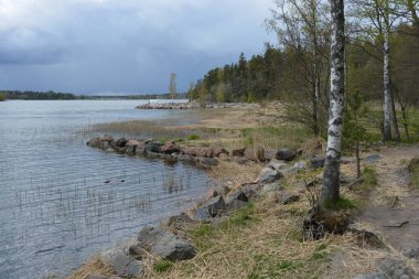 Güzel, nazik bir doğa, Baltık Denizi koyunun kıyıları, güzel bir kıyısı var. Uzun çam ağaçları, huş ağaçları, yaprak döken ağaçlar yeşil çalılar, kahverengi taşlar, saf sarı cırtlak.