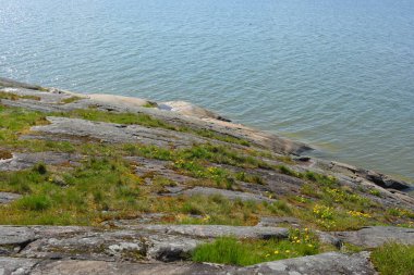 Güzel doğa, sarı kumlu güzel sahil, küçük dalgalar, yeşil ağaçlar, köknar ağaçları ve kahverengi taşlar. Finlandiya Körfezi 'nin Varkaus, Espoo şehrindeki seti..