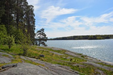 Güzel doğa, sarı kumlu güzel sahil, küçük dalgalar, yeşil ağaçlar, köknar ağaçları ve kahverengi taşlar. Finlandiya Körfezi 'nin Varkaus, Espoo şehrindeki seti..
