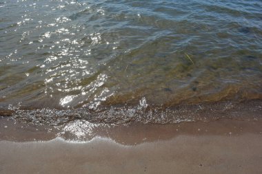 Güzel bir doğa, Finlandiya Körfezi kıyısı, temiz suyla birlikte sarı kum..