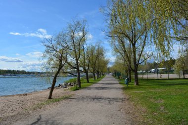 Güzel doğa, sarı kumlu güzel sahil, küçük dalgalar, yeşil ağaçlar, köknar ağaçları ve kahverengi taşlar. Finlandiya Körfezi 'nin Varkaus, Espoo şehrindeki seti..