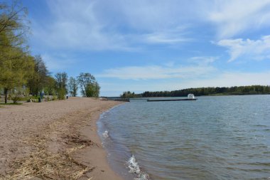 Güzel doğa, sarı kumlu güzel sahil, küçük dalgalar, yeşil ağaçlar, köknar ağaçları ve kahverengi taşlar. Finlandiya Körfezi 'nin Varkaus, Espoo şehrindeki seti..
