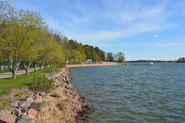 Güzel doğa, sarı kumlu güzel sahil, küçük dalgalar, yeşil ağaçlar, köknar ağaçları ve kahverengi taşlar. Finlandiya Körfezi 'nin Varkaus, Espoo şehrindeki seti..