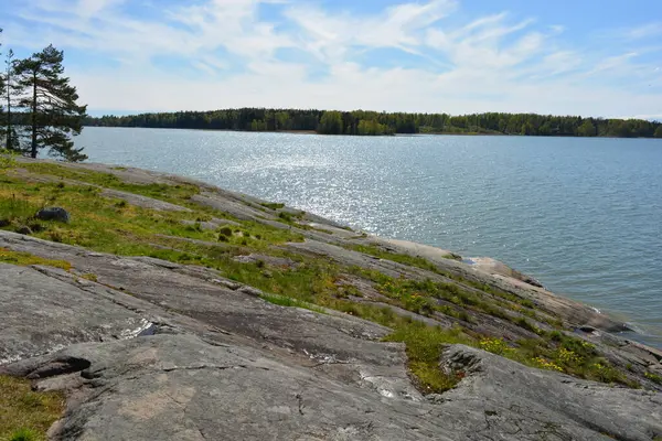 Güzel doğa, sarı kumlu güzel sahil, küçük dalgalar, yeşil ağaçlar, köknar ağaçları ve kahverengi taşlar. Finlandiya Körfezi 'nin Varkaus, Espoo şehrindeki seti..