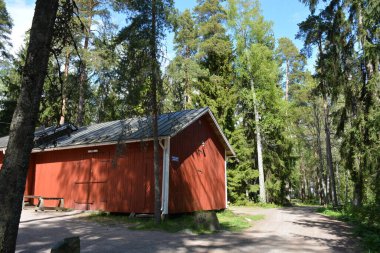 Finlandiya, Espoo 'daki Hyljelahti bölgesinin güzel ve canlı doğası. Uzun köknar ağaçları, süsleri, kumlu bir yolun yakınındaki eski kırmızı ahşap evi olan geçilemez yeşil orman..
