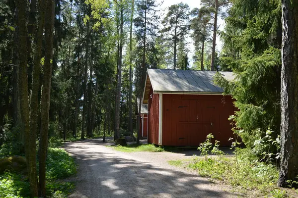 Finlandiya, Espoo 'daki Hyljelahti bölgesinin güzel ve canlı doğası. Uzun köknar ağaçları, süsleri, kumlu bir yolun yakınındaki eski kırmızı ahşap evi olan geçilemez yeşil orman..