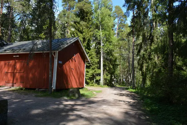 Finlandiya, Espoo 'daki Hyljelahti bölgesinin güzel ve canlı doğası. Uzun köknar ağaçları, süsleri, kumlu bir yolun yakınındaki eski kırmızı ahşap evi olan geçilemez yeşil orman..