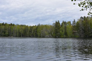 Hannusjrvi Gölü, Finlandiya 'nın Espoo şehrinin Hyljelahti bölgesinde yer alır. Gölün kumlu kıyısı, uzun köknar ağaçları, çalılar, eski ahşap kütükler, yeşil çimenler ve bitkilerle dolu yeşil orman..