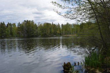 Hannusjrvi Gölü, Finlandiya 'nın Espoo şehrinin Hyljelahti bölgesinde yer alır. Gölün kumlu kıyısı, uzun köknar ağaçları, çalılar, eski ahşap kütükler, yeşil çimenler ve bitkilerle dolu yeşil orman..