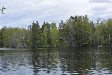 Hannusjrvi Gölü, Finlandiya 'nın Espoo şehrinin Hyljelahti bölgesinde yer alır. Gölün kumlu kıyısı, uzun köknar ağaçları, çalılar, eski ahşap kütükler, yeşil çimenler ve bitkilerle dolu yeşil orman..