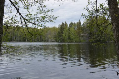 Hannusjrvi Gölü, Finlandiya 'nın Espoo şehrinin Hyljelahti bölgesinde yer alır. Gölün kumlu kıyısı, uzun köknar ağaçları, çalılar, eski ahşap kütükler, yeşil çimenler ve bitkilerle dolu yeşil orman..
