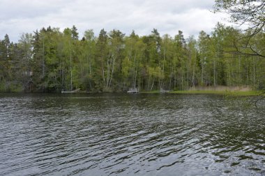 Hannusjrvi Gölü, Finlandiya 'nın Espoo şehrinin Hyljelahti bölgesinde yer alır. Gölün kumlu kıyısı, uzun köknar ağaçları, çalılar, eski ahşap kütükler, yeşil çimenler ve bitkilerle dolu yeşil orman..