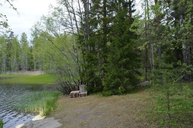 Hannusjrvi Gölü, Finlandiya 'nın Espoo şehrinin Hyljelahti bölgesinde yer alır. Gölün kumlu kıyısı, uzun köknar ağaçları, çalılar, eski ahşap kütükler, yeşil çimenler ve bitkilerle dolu yeşil orman..