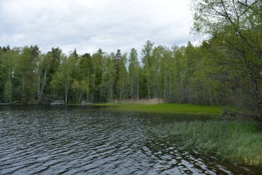 Hannusjrvi Gölü, Finlandiya 'nın Espoo şehrinin Hyljelahti bölgesinde yer alır. Gölün kumlu kıyısı, uzun köknar ağaçları, çalılar, eski ahşap kütükler, yeşil çimenler ve bitkilerle dolu yeşil orman..