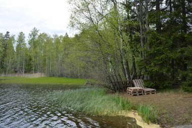 Hannusjrvi Gölü, Finlandiya 'nın Espoo şehrinin Hyljelahti bölgesinde yer alır. Gölün kumlu kıyısı, uzun köknar ağaçları, çalılar, eski ahşap kütükler, yeşil çimenler ve bitkilerle dolu yeşil orman..