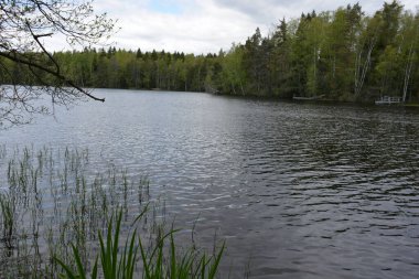 Hannusjrvi Gölü, Finlandiya 'nın Espoo şehrinin Hyljelahti bölgesinde yer alır. Gölün kumlu kıyısı, uzun köknar ağaçları, çalılar, eski ahşap kütükler, yeşil çimenler ve bitkilerle dolu yeşil orman..