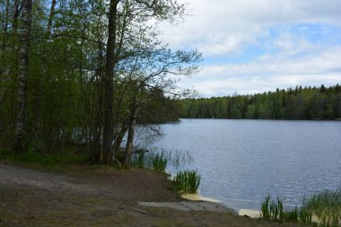 Hannusjrvi Gölü, Finlandiya 'nın Espoo şehrinin Hyljelahti bölgesinde yer alır. Gölün kumlu kıyısı, uzun köknar ağaçları, çalılar, eski ahşap kütükler, yeşil çimenler ve bitkilerle dolu yeşil orman..