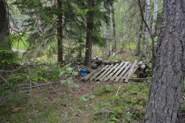 Finlandiya 'nın Espoo şehrinde Hyljelahti Gölü yakınlarında yer alır. Uzun köknar ağaçları, yapraklar, çalılar, eski ahşap kütükler, kütükler, yeşil çimenler ve bitkiler..