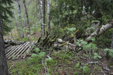 Finlandiya 'nın Espoo şehrinde Hyljelahti Gölü yakınlarında yer alır. Uzun köknar ağaçları, yapraklar, çalılar, eski ahşap kütükler, kütükler, yeşil çimenler ve bitkiler..