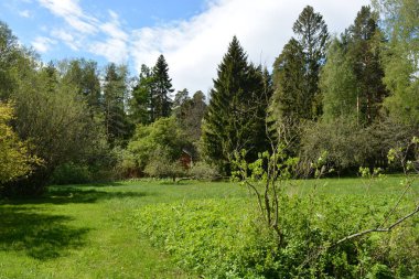 Büyük yeşil çayır, sarı karahindibalı çayır, büyük yaprak döken yeşil park ağaçları, yeşil köknar ve ladin. Parlak doğa Espoo şehrinin Hyljelahti bölgesinde yer almaktadır..
